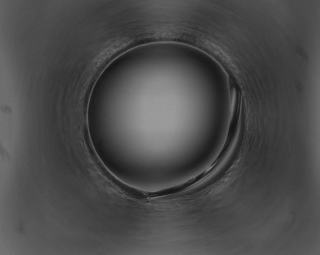 X0000090960673200708021416