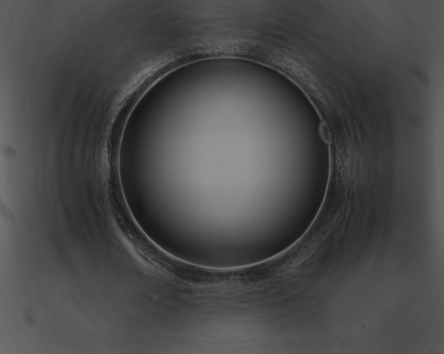 X0000090960674200708021416
