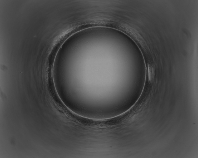 X0000090960675200708021416