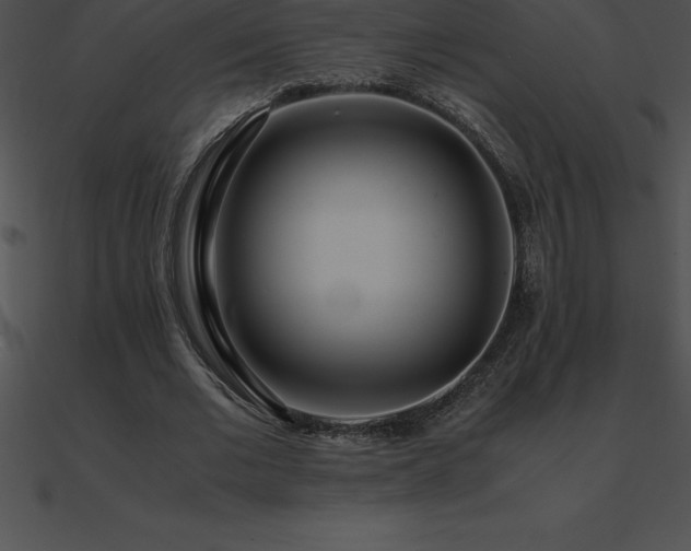 X0000090960677200708021416