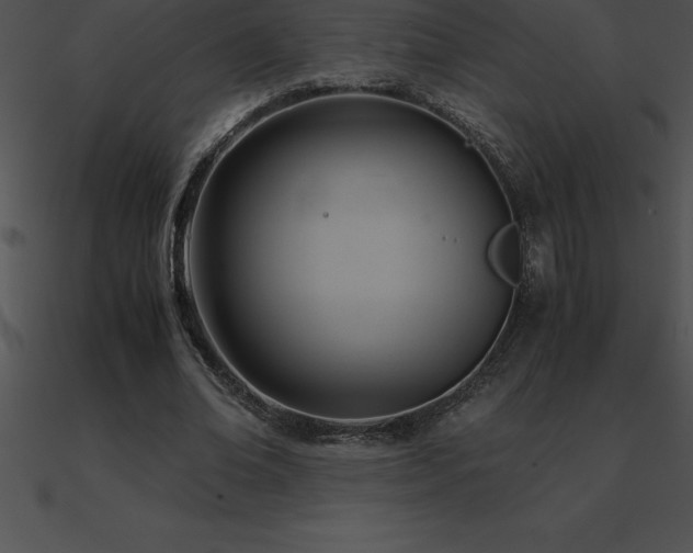X0000090960678200708021416