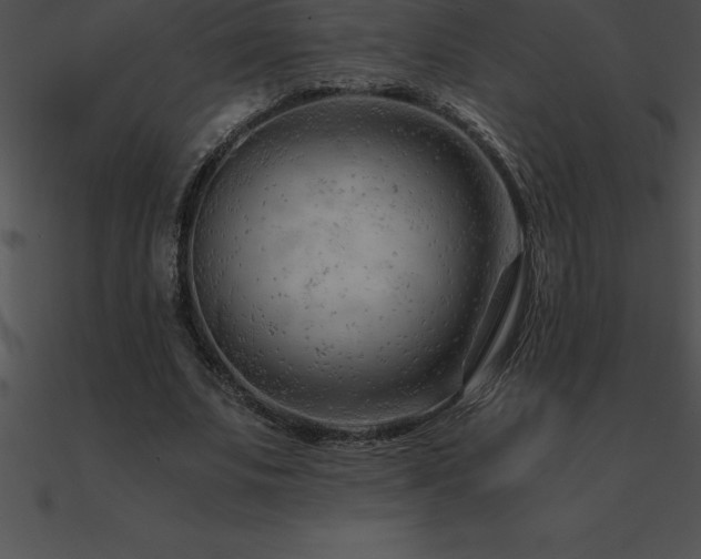 X0000090960679200708021416