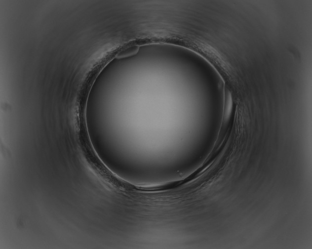 X0000090960680200708021416
