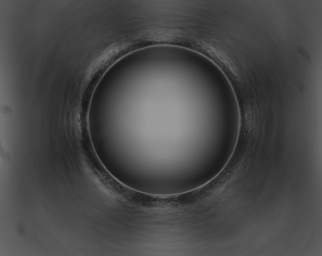 X0000090960682200708021416