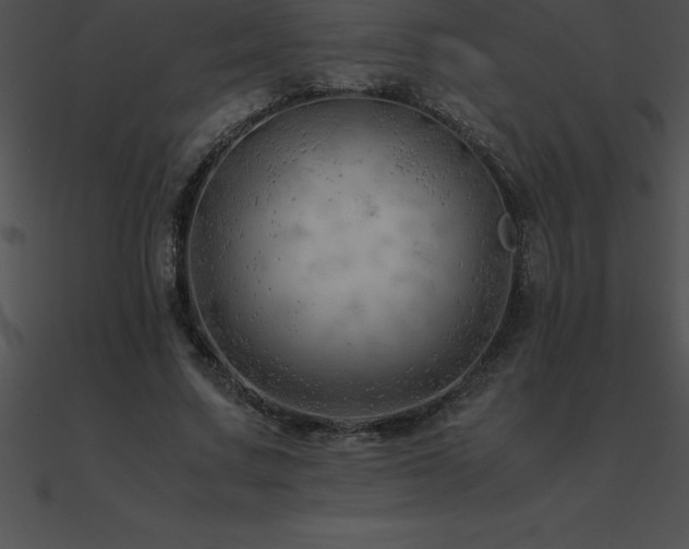X0000090960683200708021416