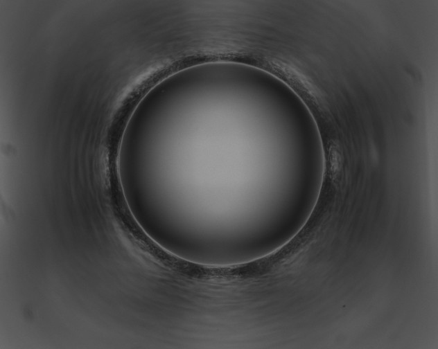 X0000090960684200708021416