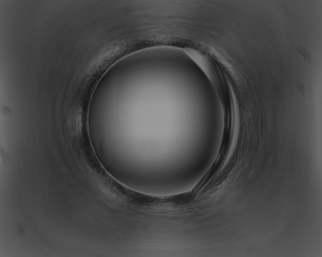 X0000090960685200708021416