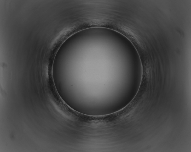 X0000090960686200708021416