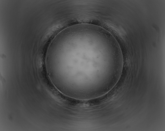 X0000090960687200708021416