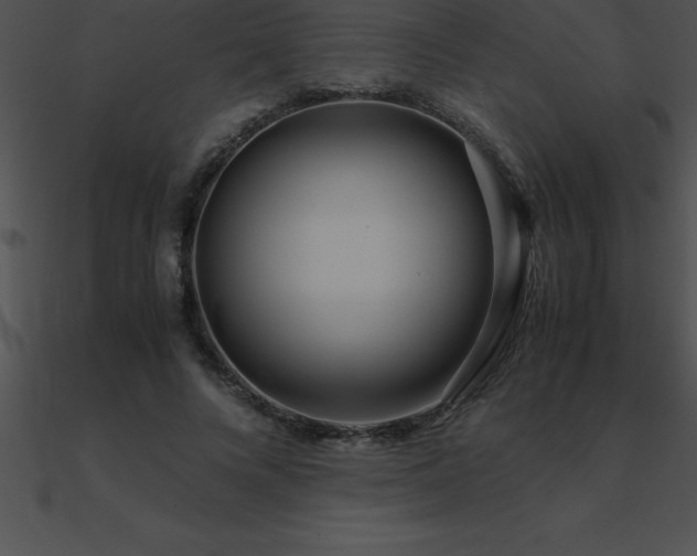 X0000090960688200708021416
