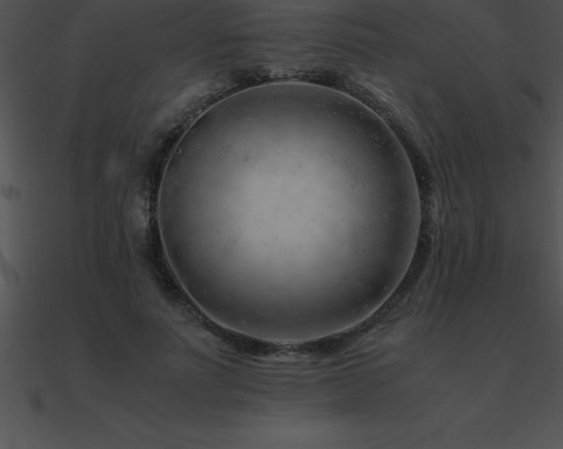 X0000090960691200708021416