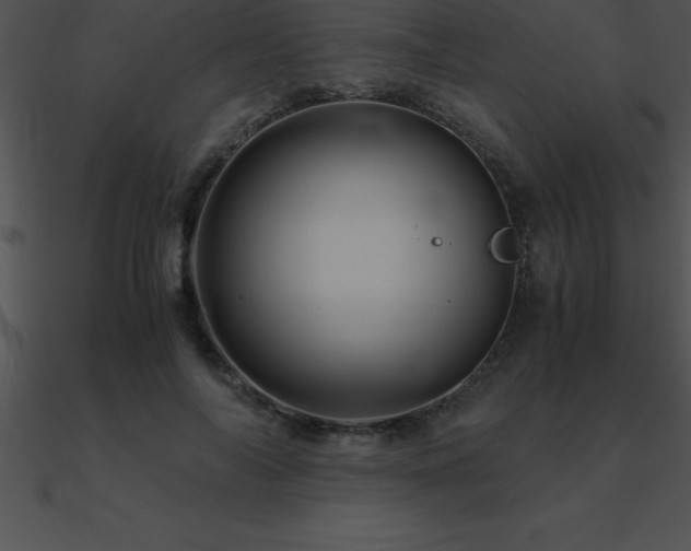 X0000090960694200708021416