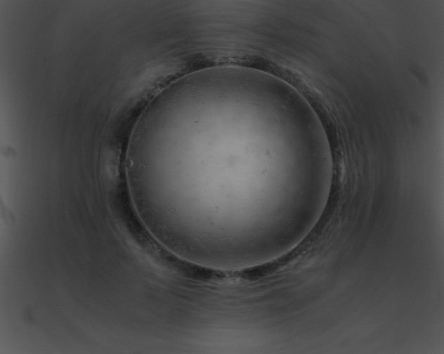 X0000090960695200708021416