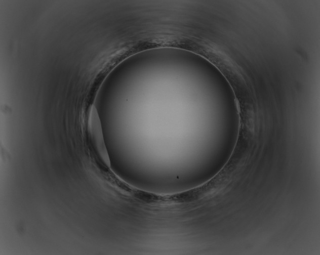 X0000090960696200708021416