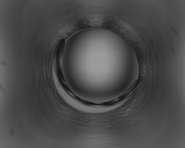 X0000090960697200708021416