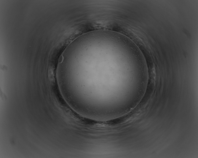 X0000090960699200708021416