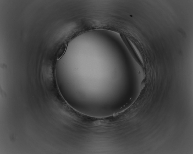 X0000090960700200708021416