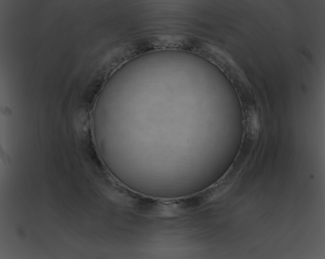 X0000090960701200708021416