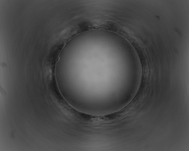 X0000090960703200708021416