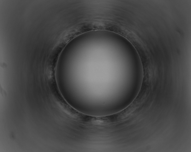 X0000090960706200708021416