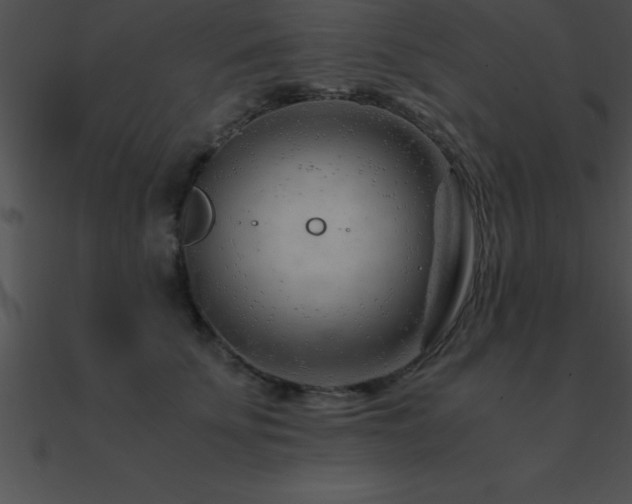 X0000090960707200708021416