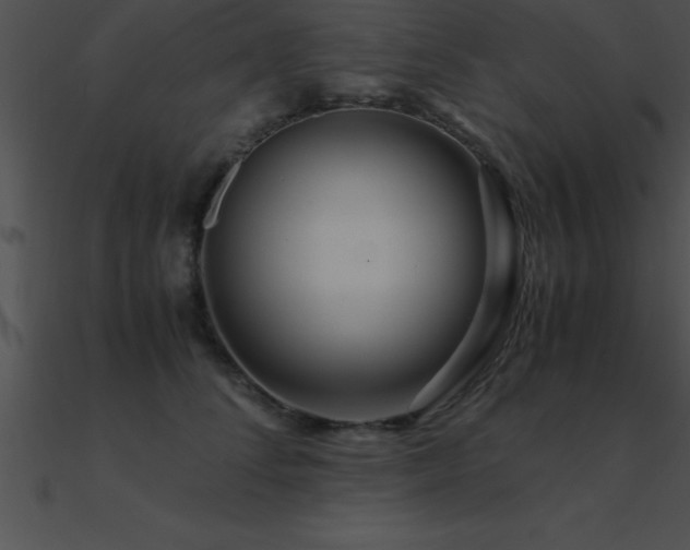 X0000090960708200708021416