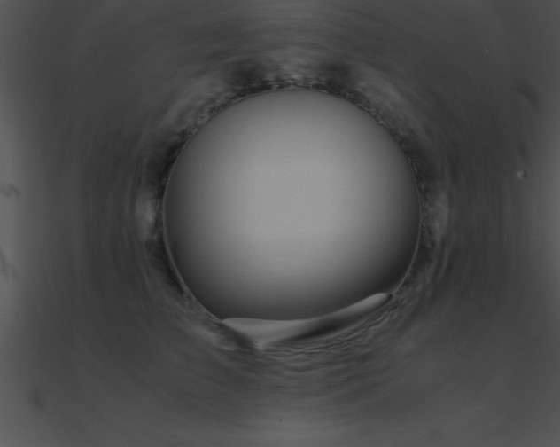 X0000090960709200708021416
