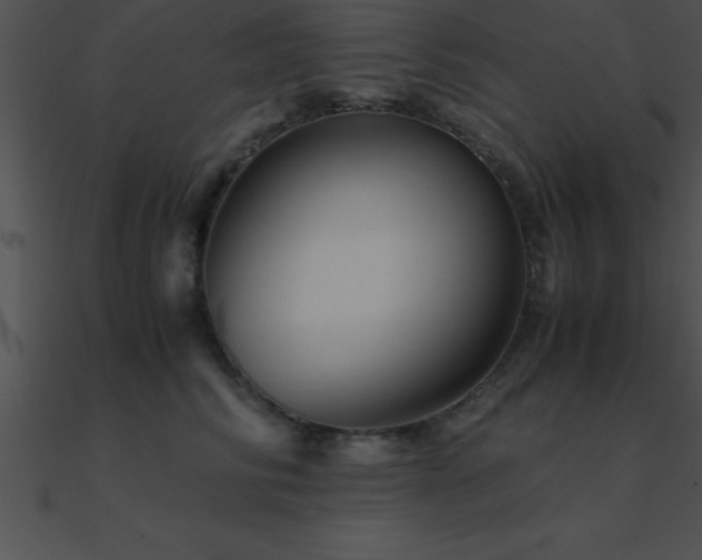 X0000090960710200708021416
