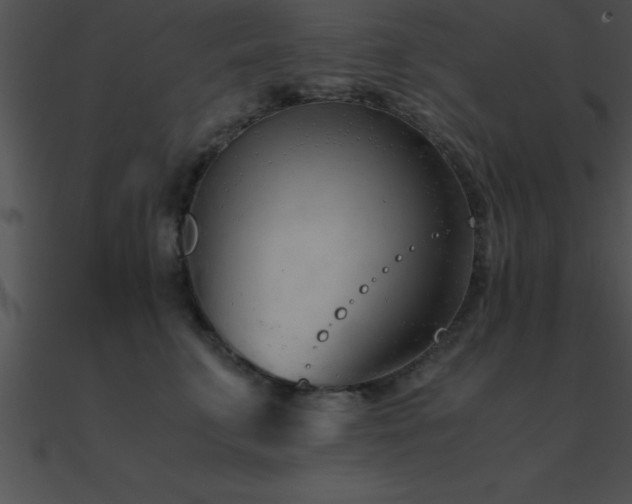 X0000090960711200708021416