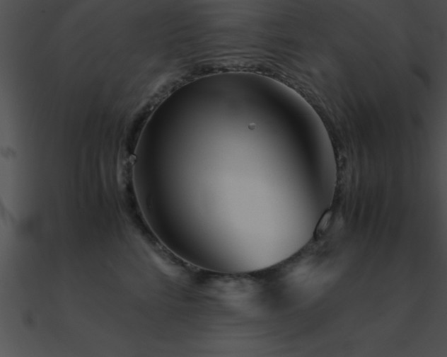 X0000090960712200708021416