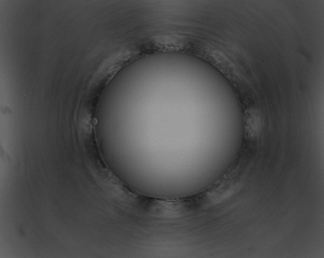 X0000090960713200708021416