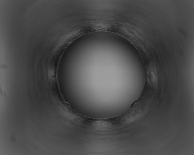 X0000090960714200708021416