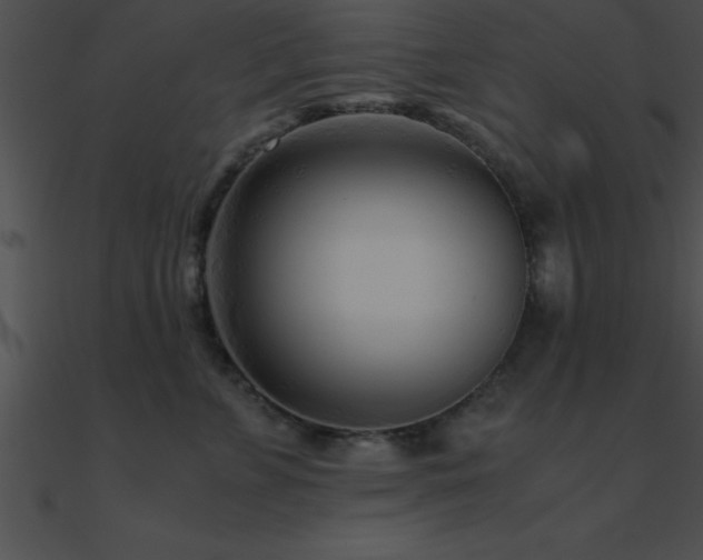 X0000090960715200708021416