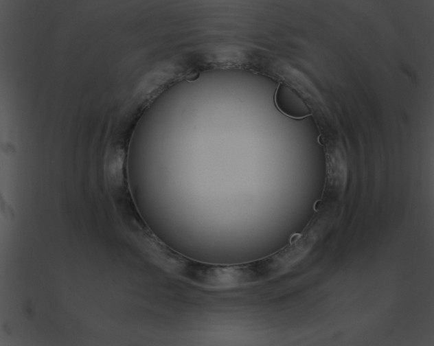 X0000090960717200708021416