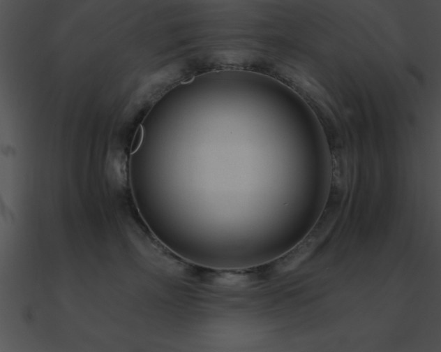 X0000090960718200708021416