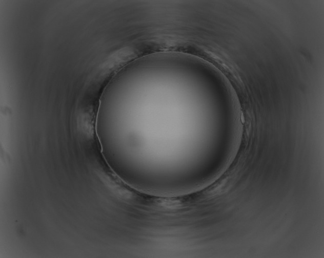 X0000090960719200708021416