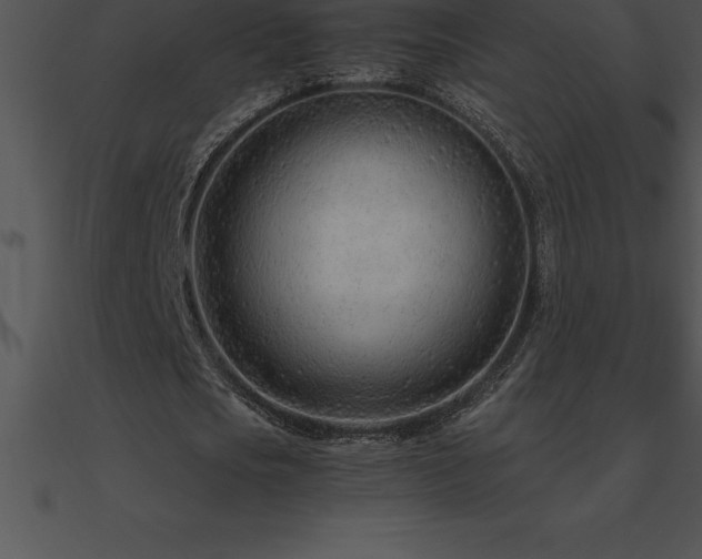 X0000090960721200708021415