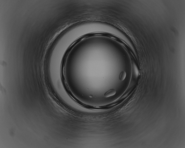 X0000090960722200708021415