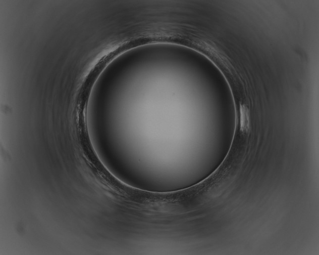 X0000090960723200708021415