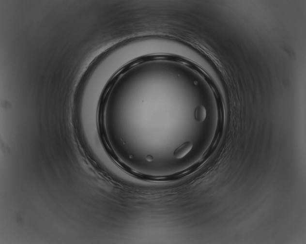 X0000090960724200708021415