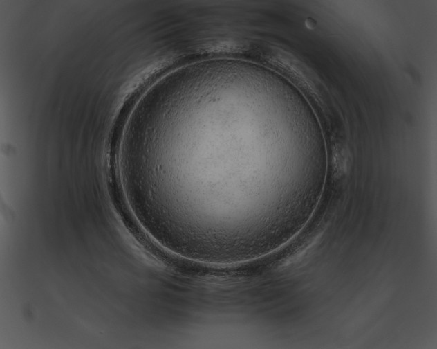 X0000090960725200708021415