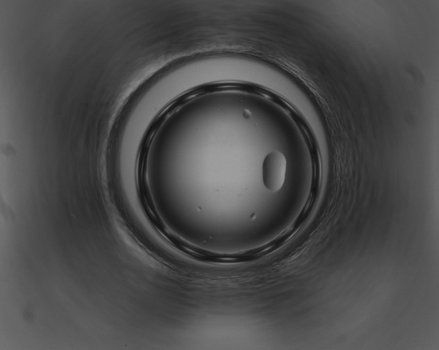 X0000090960726200708021415