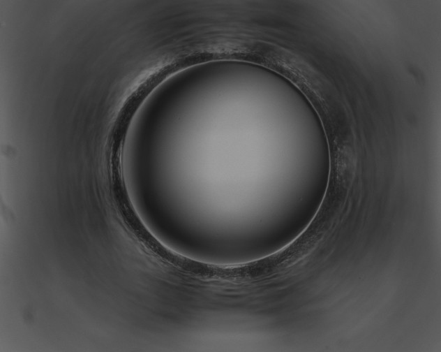 X0000090960727200708021415