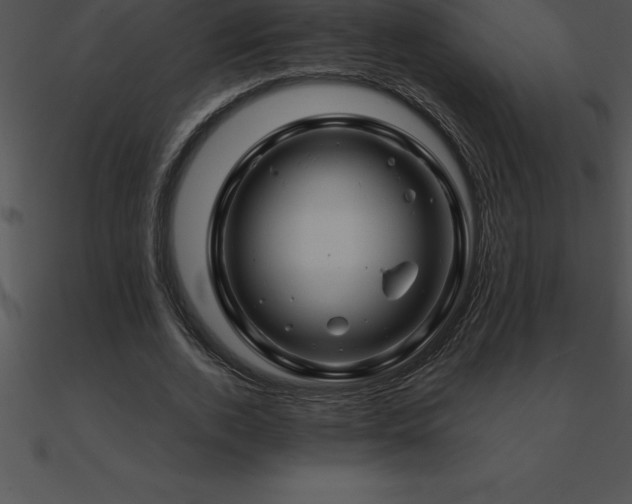 X0000090960728200708021415