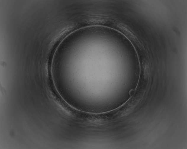 X0000090960729200708021415