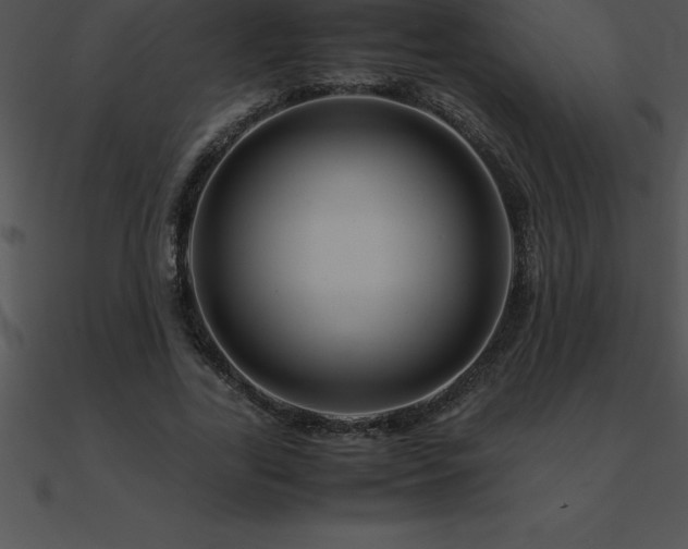 X0000090960731200708021415