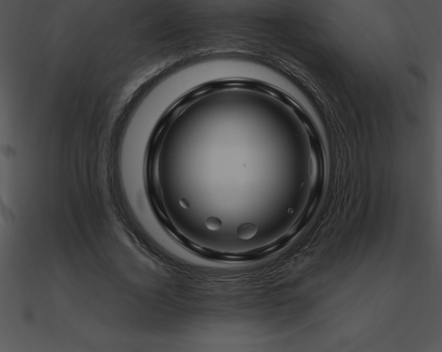 X0000090960732200708021415