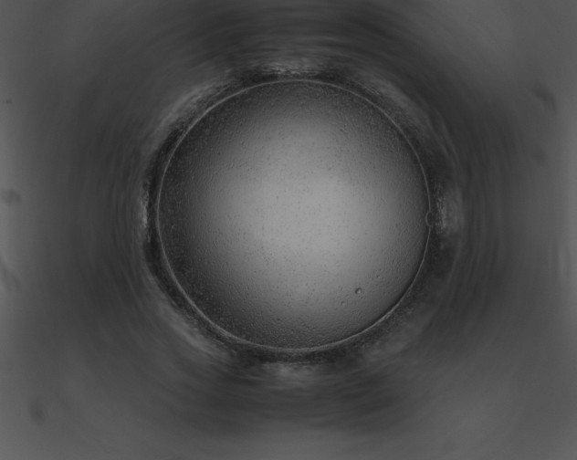 X0000090960733200708021415