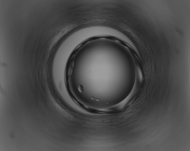 X0000090960734200708021415