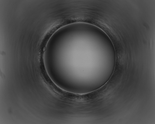 X0000090960735200708021415